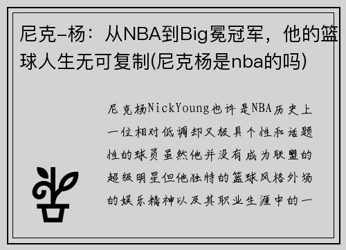 尼克-杨：从NBA到Big冕冠军，他的篮球人生无可复制(尼克杨是nba的吗)