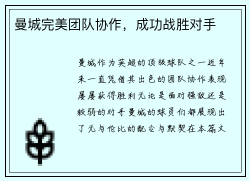 曼城完美团队协作，成功战胜对手