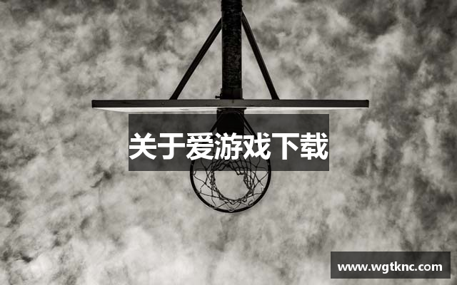 关于爱游戏下载
